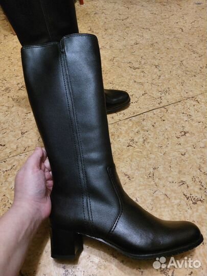 Сапоги женские демисезонные
