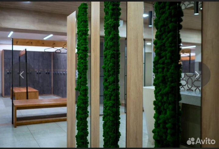 Абонемент Loft fitness