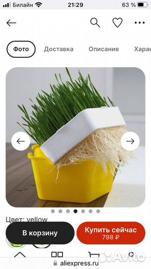 Лоток для проращивания семян