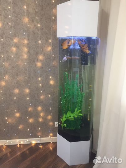 Дизайнерский Акриловый аквариум