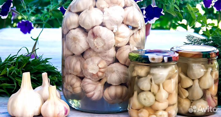 Маринованный чеснок оптом
