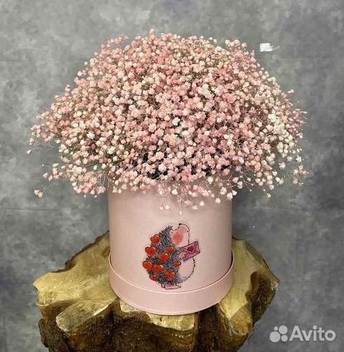 Цветы гипсофилы