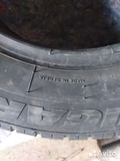 Tigar Winter 175/70 R14