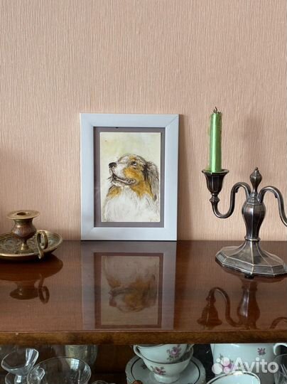 Акварель, миниатюра « Аусси»