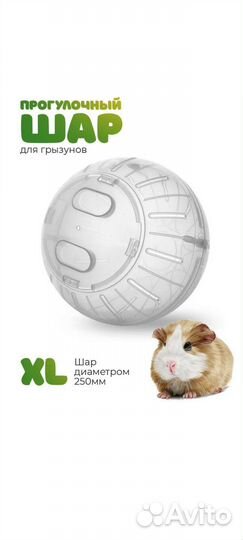 Прогулочный шар для грызунов