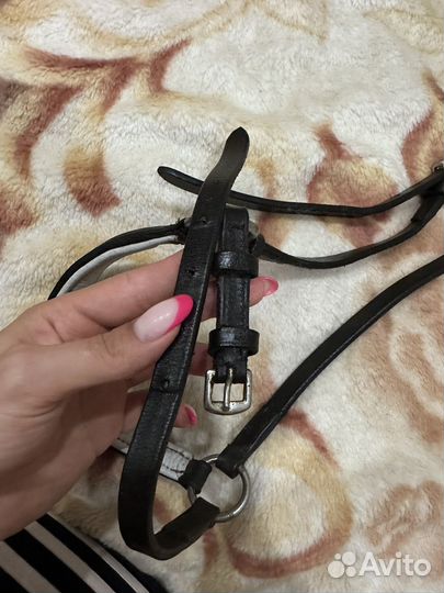 Чешский капсуль для лошади