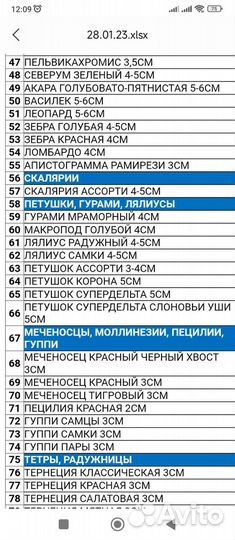 Аквариумные рыбы