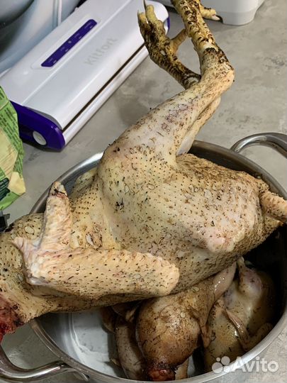 Мясо домашних петушков