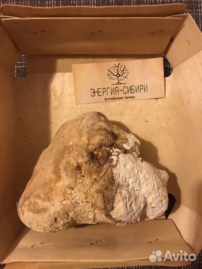 Агарикус лиственнная Губка / Алтей корень с Алтая