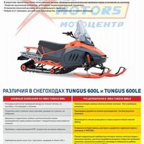 Снегоход irbis tungus 400 LE black line 23/24