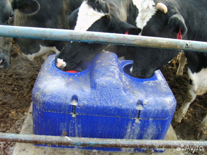 Поилки групповые мячиковые для коров