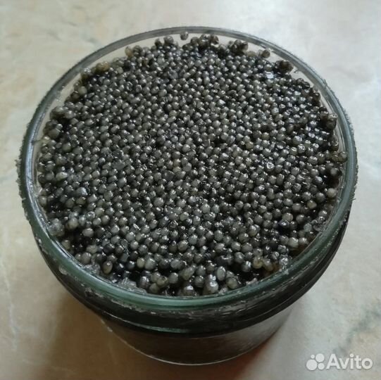 Черная икра