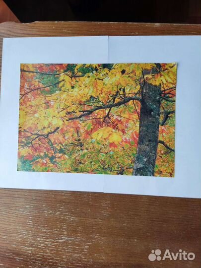 Постер, 4 шт