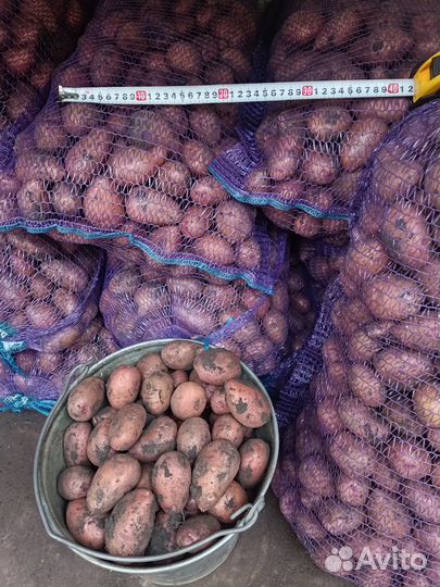 Продам мелкий картофель