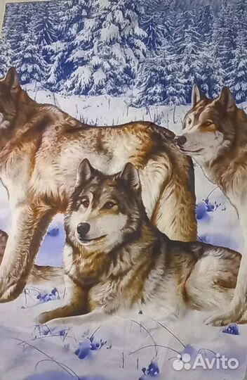 Ткань трикотаж кулирка