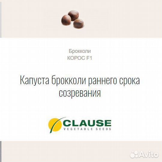 Семена Капуста брокколи Корос F1