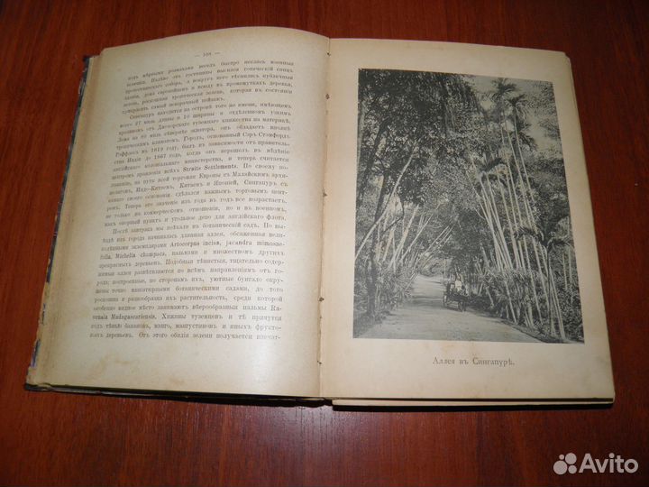 Антикварные книги. В стране вулканов. 1897г