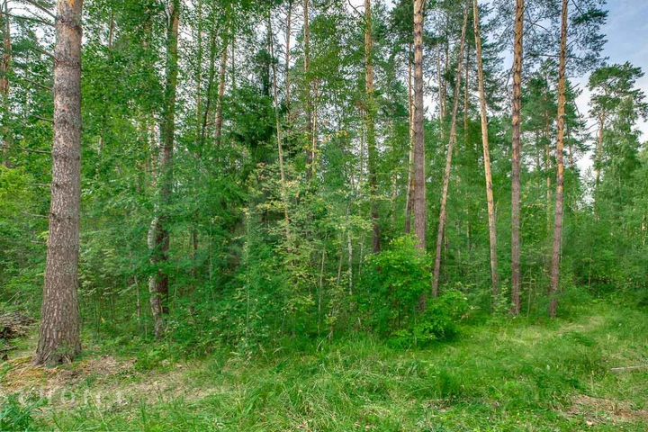 Участок 83,2 сот. (ИЖС)