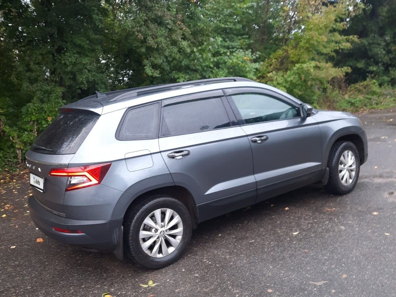 Skoda Karoq: фото владельца
