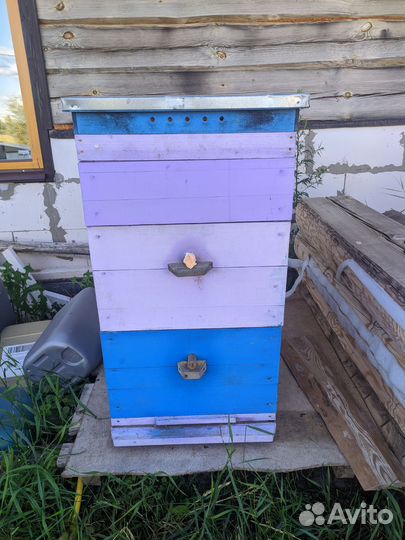 Ульи для пчел