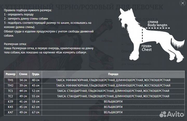 Комбинезон для таксы