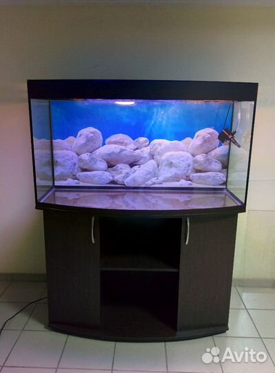 Аквариум 400 полукруглый, свет биофильтр тумба