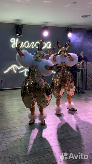 Зеркальные зайцы, зеркальные зайки, шоу