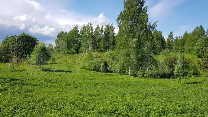 Участок 15 сот. (ИЖС)