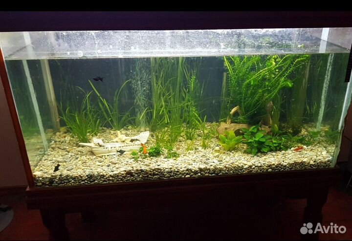 Аквариум 300 литров