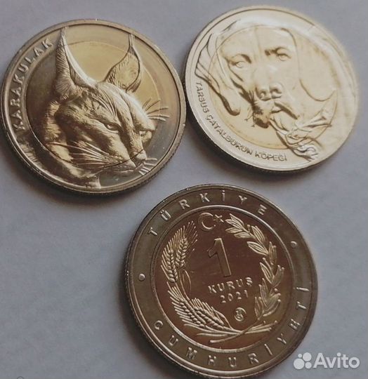 Монеты Турции в ассортименте