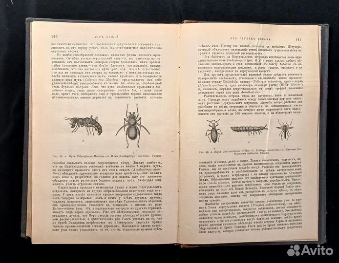 Журнал Мир Божий 1902 г. Экслибрис. Состояние