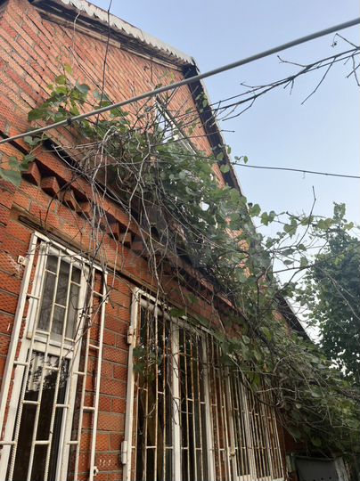 Дача 49 м² на участке 4 сот.