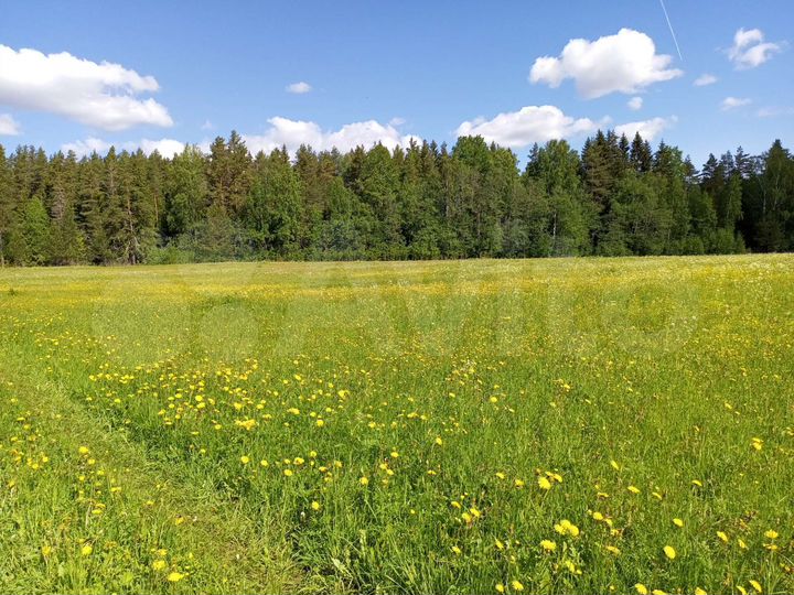 Участок 100 сот. (СНТ, ДНП)