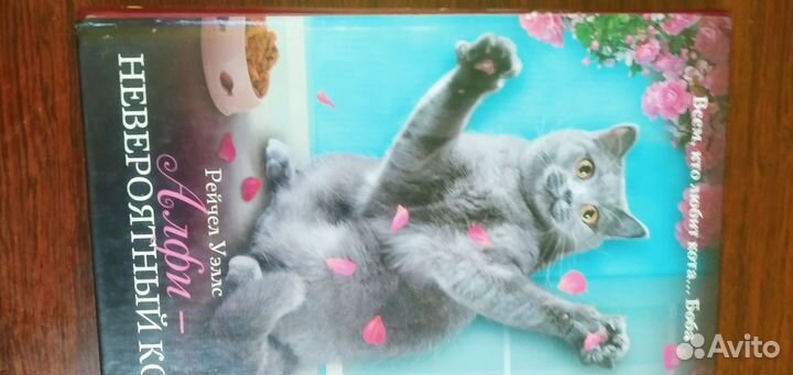 Алфи — невероятный кот. Рейчел Уэллс