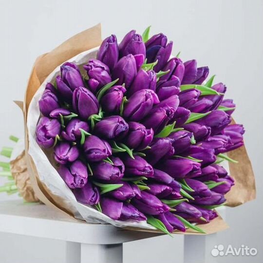 Букет из фиолетовых сортовых тюльпанов 37 шт