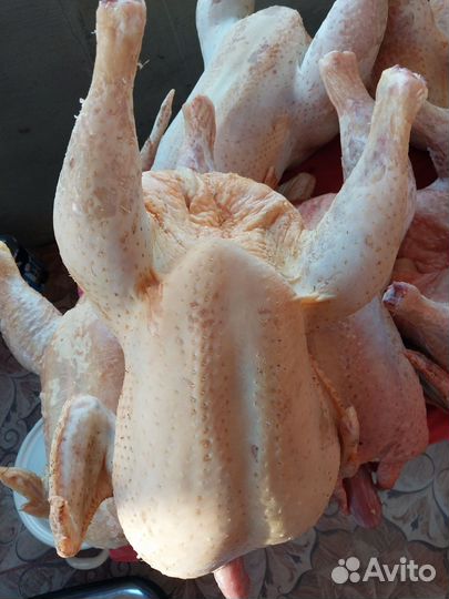 Продукты питания