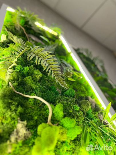 Озеленение интерьера под ключ