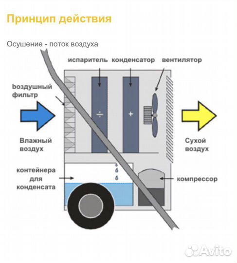 Осушитель воздуха в аренду