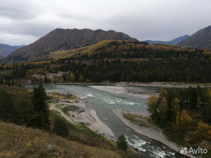 Моторафтинг на Катуни