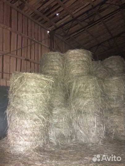 Сено луговое, зелёное разнотравье