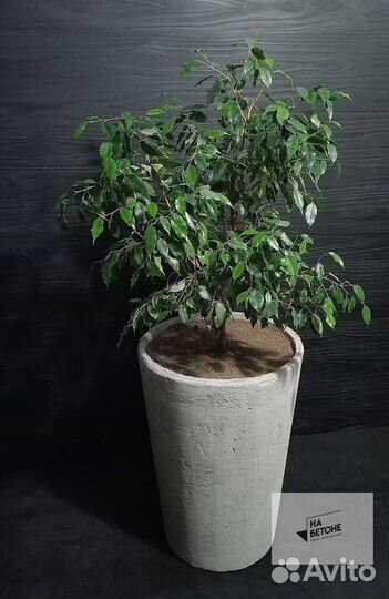 Кашпо, Вазоны, горшки для цветов