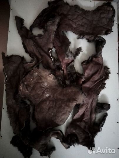 Каракульча обрезки