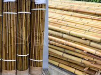 Бамбук, ствол бамбука