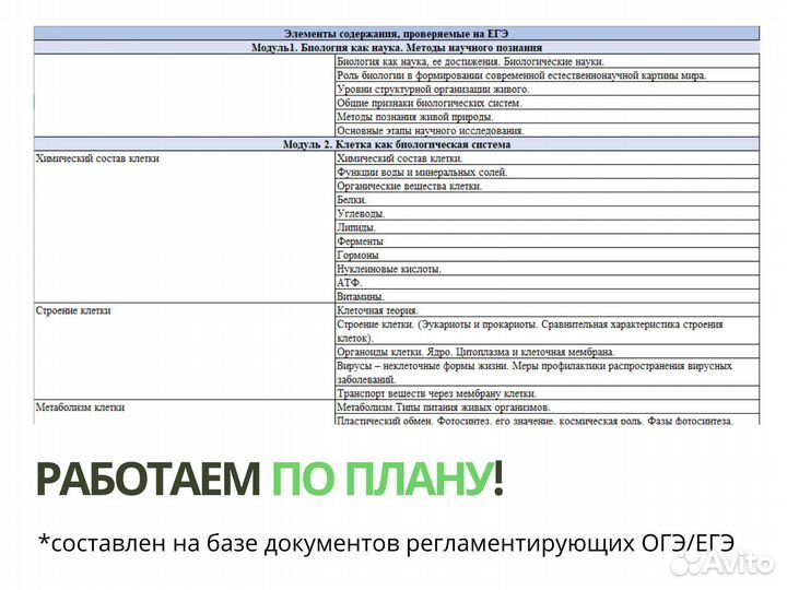 Репетитор по биологии