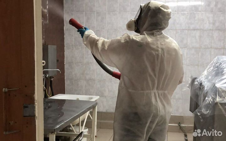 Дератизация дезинфекция дезинсекция