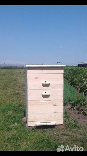 Пчелиный улей