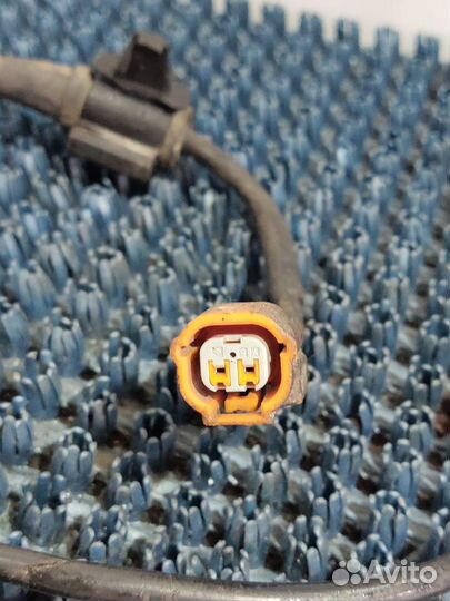 Датчик ABS Honda Accord