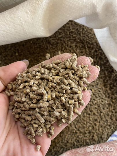 Комбикорм для несушек Боево