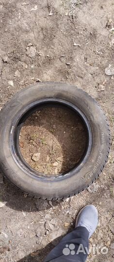 Tigar High Performance 185/65 R15