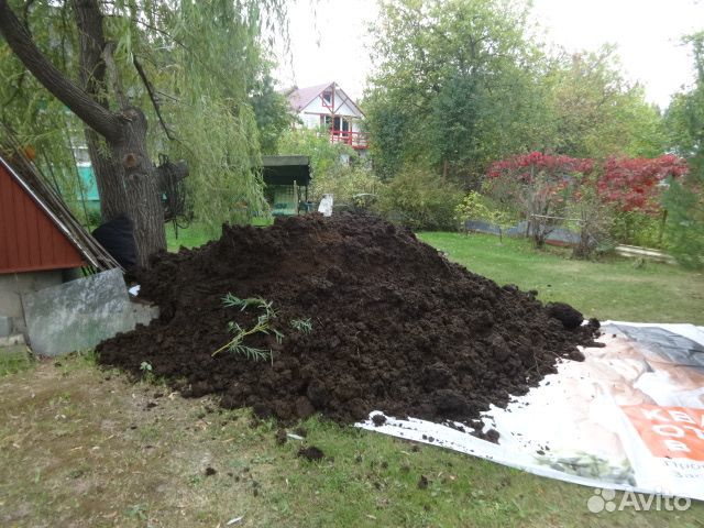 Навоз для удобрения почвы сада